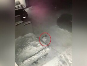 В Томске 6летняя девочка выпала из окна и сама вернулась домой видео
