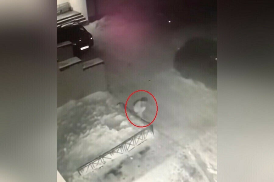 В Томске 6летняя девочка выпала из окна и сама вернулась домой видео