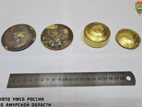 В Амурской области осужден мужчина хранивший золото на сумму свыше 24 миллионов рублей