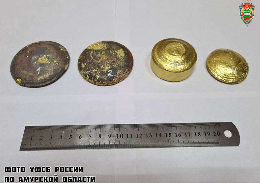 В Амурской области осужден мужчина хранивший золото на сумму свыше 24 миллионов рублей