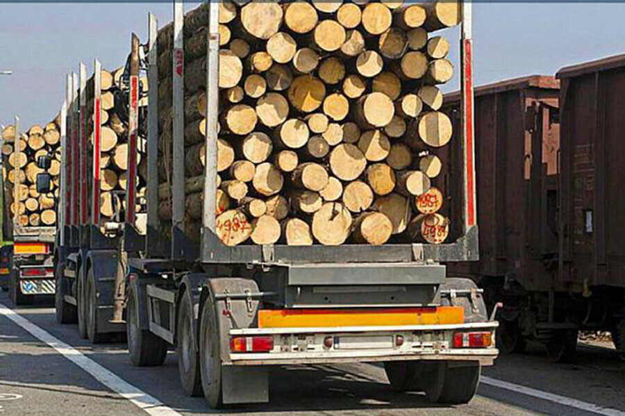 Дело о контрабанде леса с Дальнего Востока в Китай на сумму свыше миллиарда рублей ушло в суд