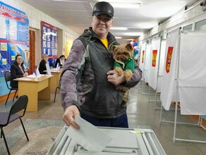 Явка на выборах президента РФ в Амурской области по данным на 15 часов составила 20 
