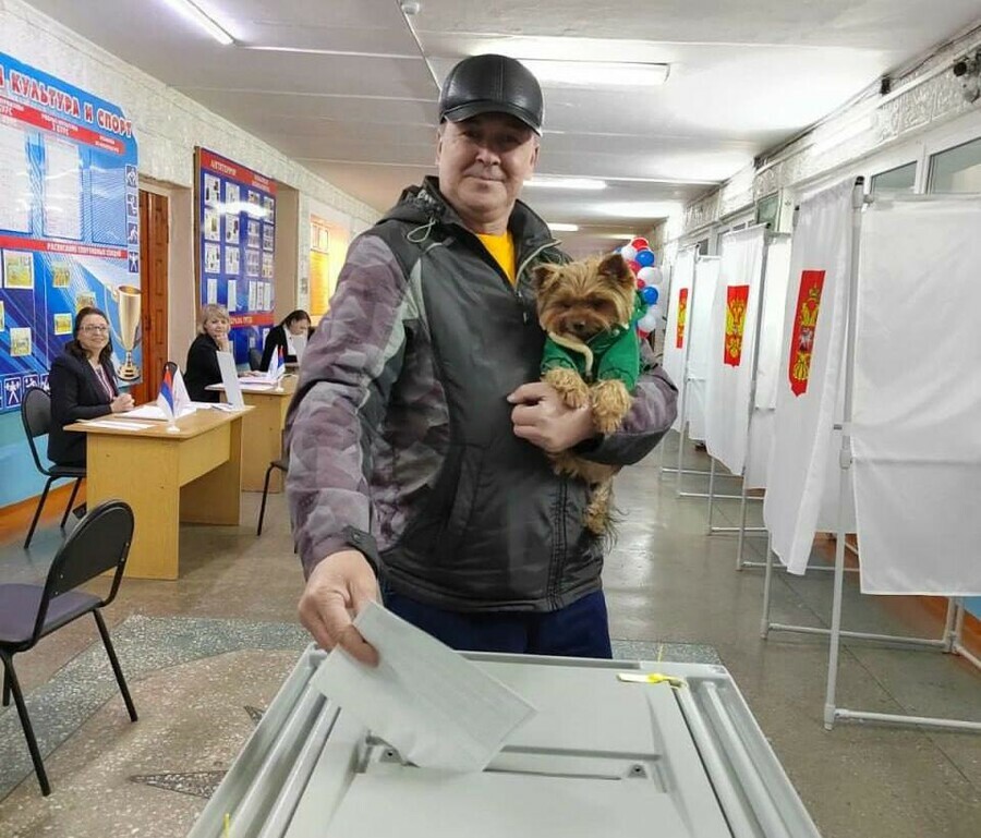 Явка на выборах президента РФ в Амурской области по данным на 15 часов составила 20 