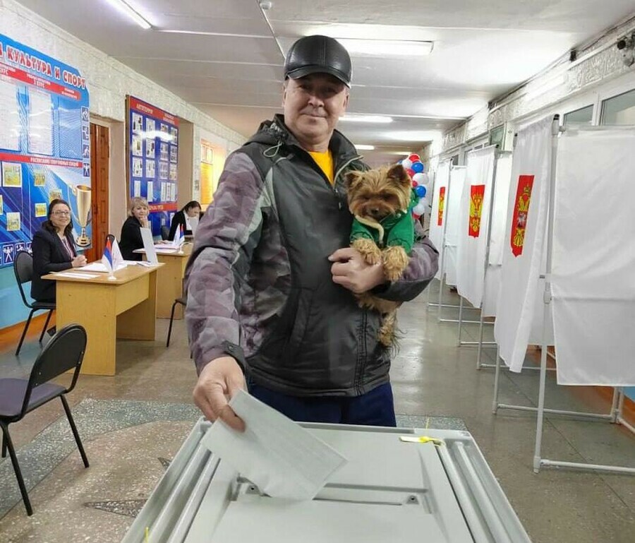 Явка на выборах президента РФ в Амурской области по данным на 15 часов составила 20 