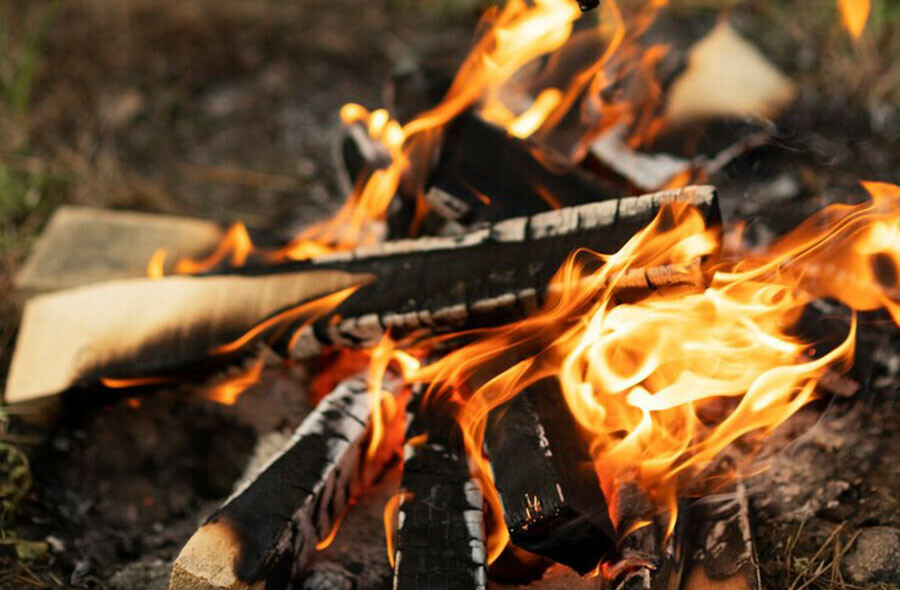 Пожароопасный сезон и особый противопожарный режим введен на шести территориях Приамурья