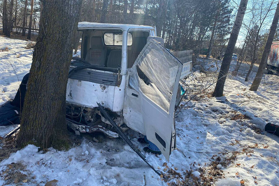Водитель погиб на месте смертельное ДТП случилось в Амурской области фото 18