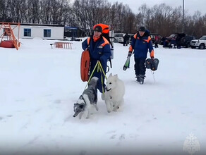 МЧС туристы обнаружили погибшую под лавиной туристку Данные предварительные