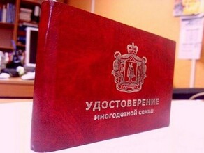 Минтруд разработал удостоверение многодетной семьи