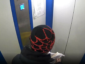 Устроился недавно в Благовещенске задержан студенткурьер похитивший деньги у пожилой женщины видео