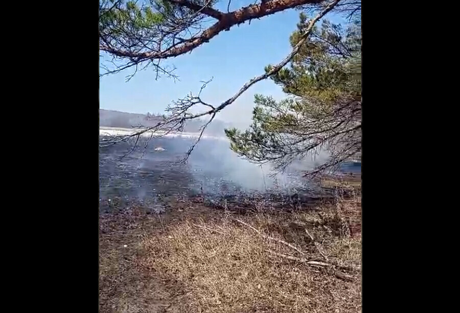 Два лесных пожара потушили в Амурской области за прошедшие сутки Причина  люди