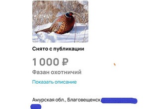 Амурчанин взял с собой сына и отправился на запрещенную охоту с усиленной винтовкой