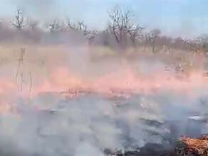 Амурская область горит количество термоточек увеличивается видео