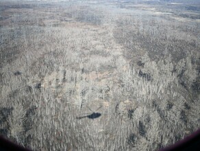 В Благовещенске и Благовещенском округе вводится особый противопожарный режим Что это значит