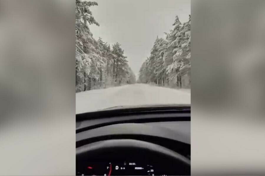 Зимняя сказка вернулась в Свободненский район фото видео