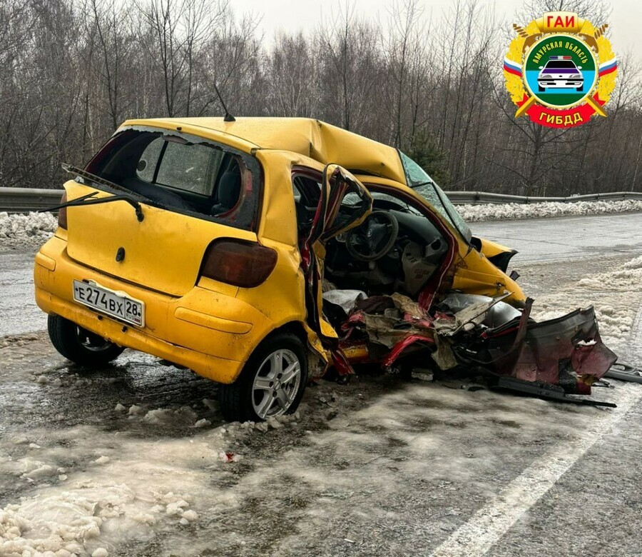 На трассе БлаговещенскСвободный смертельное ДТП