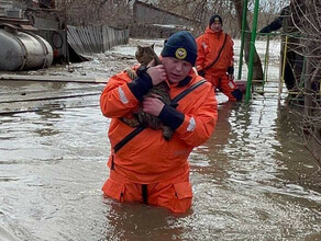 Выносят на руках на Алтае разгулялся мощный паводок фото видео