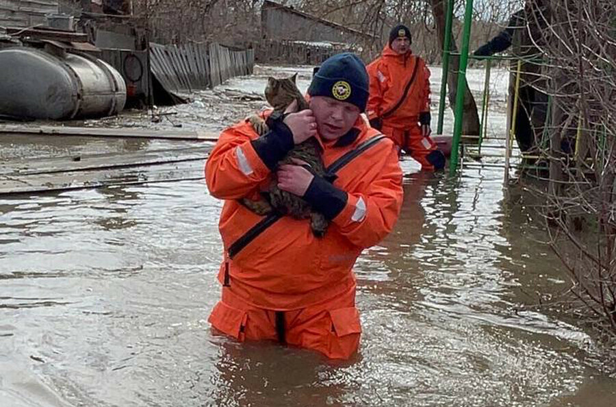 Выносят на руках на Алтае разгулялся мощный паводок фото видео