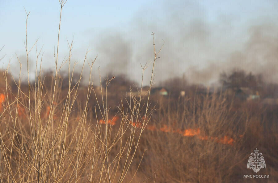 Ещё в 14 муниципалитетах Приамурья ввели пожароопасный сезон и особый противопожарный режим