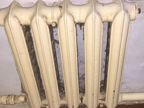 Амурчанки открутили радиаторы в чужой квартире и продали их