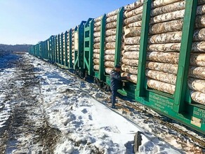 Из Приамурья в Китай вывозят лес под контролем Россельхознадзора