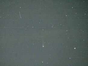 Действительно с рогами благовещенец сфотографировал знаменитую комету ПонсаБрукса
