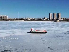 Первую китайскую пуму уехавшую в Благовещенск из Хэйхэ сняли с дрона видео