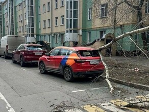 Непогода в Москве два человека погибли 15 пострадали