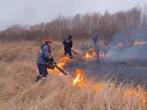 Лесные пожары регистрируют в Амурской области видео 