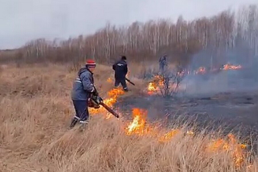 Лесные пожары регистрируют в Амурской области видео 