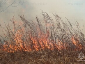 До миллиона рублей Амурчанам напомнили за что можно получить штраф во время противопожарного режима