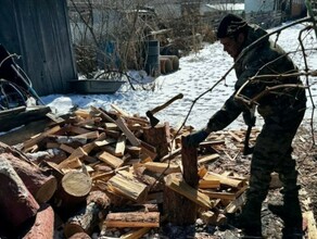 В Амурской области дочь бойца СВО попросила наколоть ей дров