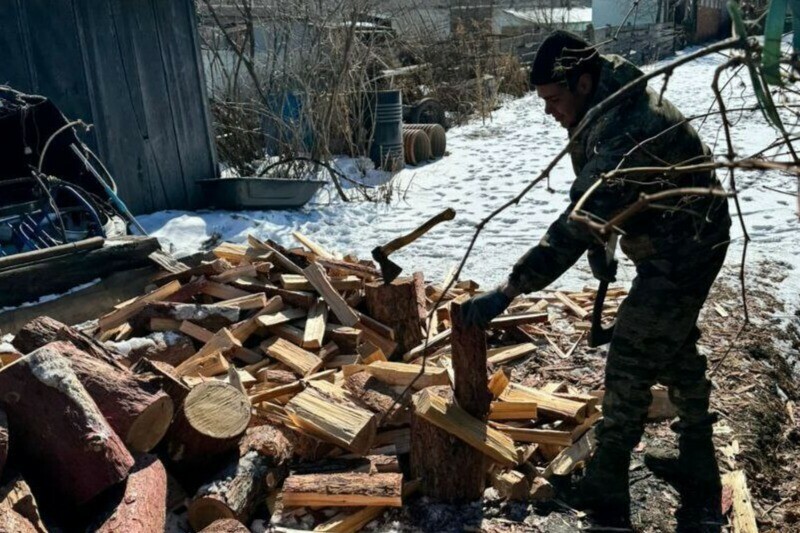 В Амурской области дочь бойца СВО попросила наколоть ей дров