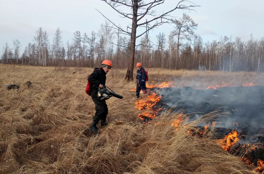 Люди жгут Амурская область полыхает 