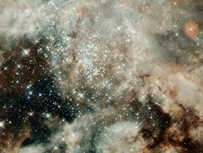 Гороскоп 23 июня у Рыб усилится интуиция а Овнов ждут невероятные новости 