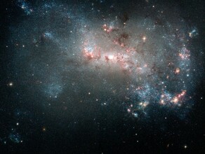 Гороскоп 1 июля Весам стоит проявить инициативу а Близнецам не стоит быстро ездить 