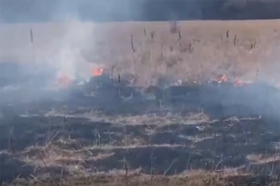 Количество пожаров в Приамурье увеличивается Особый режим введен еще в одном округе