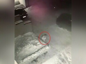 Девочку которая упала с четвертого этажа в Томске выписали из больницы
