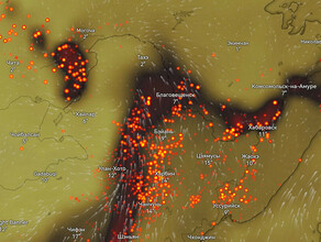 До 300 термоточек дым от пожаров в Китае накрыл Амурскую область
