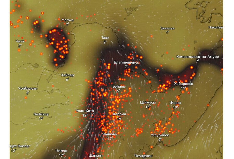 До 300 термоточек дым от пожаров в Китае накрыл Амурскую область