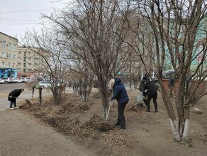 Мэр Благовещенска приехал в район затона в рабочих перчатках фото видео 