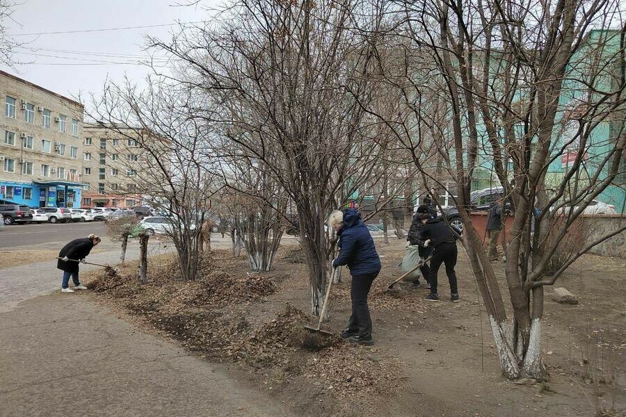 Мэр Благовещенска приехал в район затона в рабочих перчатках фото видео 