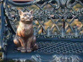 Благовещенцев просят отметить в онлайн необычные достопримечательности города видео