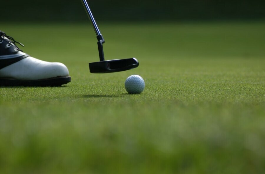 В новом учебном году школьников будут учить играть в гольф и защищаться от фейков