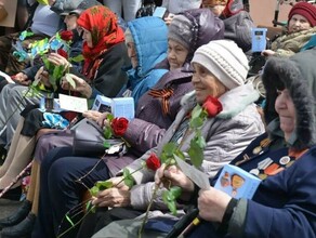 Благовещенский активист запускает акцию помощи ветеранам в преддверии Дня Победы Как помочь 