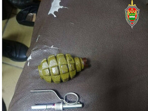  Сотрудники ФСБ нашли у амурчанина спрятанную в трико противопехотную гранату