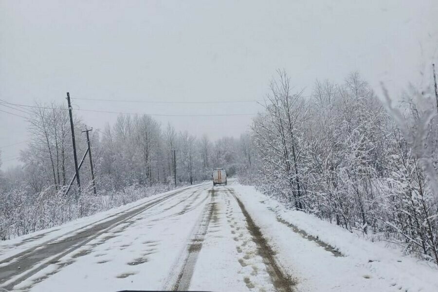На севере Амурской области прошел сильный снег фото