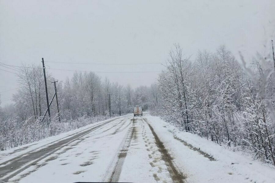 Сугробы жизни