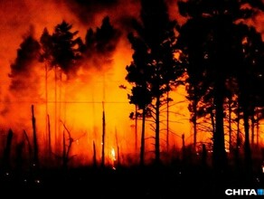 Пожар который запустили забайкальские могильщики перекинулся на Монголию