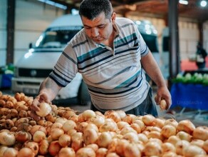 В амурском управлении занятости рассказали о тонкостях запрета для иностранцев работать в некоторых сферах Уроженцев каких стран это коснется