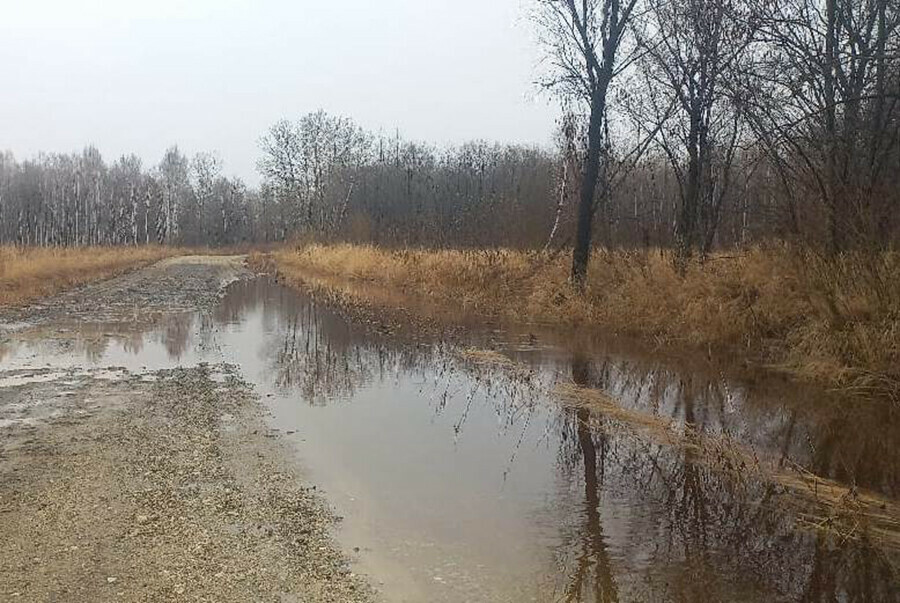В Приамурье ухудшается гидрологическая обстановка интенсивно повышается уровень воды в крупных реках